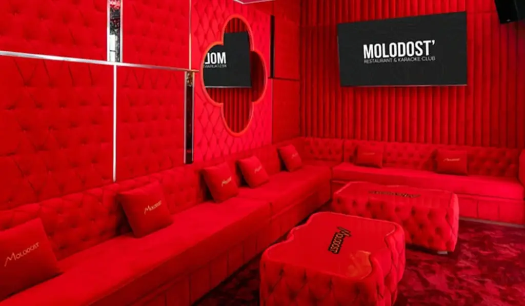 Private Karaoke Rooms- Sound Control Matters More